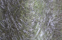 Coxheath fibreglass roof work